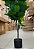 Ficus Lyrata Toque Real Decoração Premium 1.25m - Imagem 7