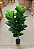 Ficus Lyrata Toque Real Decoração Premium 1.25m - Imagem 4