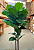 Ficus Lyrata Toque Real Decoração Premium 1.25m - Imagem 5