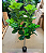 Planta Artificial Ficus Lyrata Realista 1.80m Premium - Imagem 2