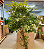 Ficus Lyrata Artificial Árvore Grande Para Sala Com 1.80m - Imagem 4