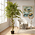 Ficus Lyrata Artificial Árvore Grande Para Sala Com 1.80m - Imagem 1