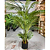 Palmeira Artificial Grande Planta Decoração Árvore Com 1.50m - Imagem 8