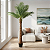 Palmeira Phoenix Artificial Grande Para Sala Planta Premium - Imagem 1