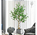 Oliveira Artificial Grande Para Decoração Sala Árvore 180cm - Imagem 2