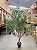 Oliveira Artificial Realista Grande Para Decoração Com 2.50m - Imagem 4
