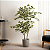 Árvore Artificial Ficus Planta Realista Para Decoração 150cm - Imagem 1