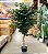 Ficus Árvore Artificial Planta Decorativa Premium Com 1.60m - Imagem 2