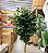 Ficus Árvore Artificial Planta Decorativa Premium Com 1.60m - Imagem 6