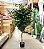Ficus Árvore Artificial Planta Decorativa Premium Com 1.60m - Imagem 5