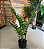 Zamioculca Artificial Planta Realista 85 CM Para Decoração Sala com 85 CM - Imagem 5