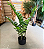 Zamioculca Artificial Planta Realista 85 CM Para Decoração Sala com 85 CM - Imagem 6