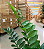 Zamioculca Artificial Planta Realista 85 CM Para Decoração Sala com 85 CM - Imagem 8