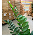Zamioculca Artificial Planta Realista 85 CM Para Decoração Sala com 85 CM - Imagem 2