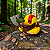 Colecionáveis - Duck of war - Imagem 5
