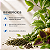 Teacrine + Coleus Forskohlii + Green Tea 30 Cápsulas - Imagem 3