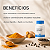 Curcuma Longa 500mg + Piperina 5mg 60 cápsulas - Imagem 3
