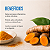 Curcuma Longa 500mg 60 cápsulas - Imagem 3