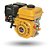 Motor Buffalo BFG 4T 7.0H - Imagem 1