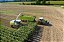 CLAAS Jaguar Colheitadeira - Imagem 3