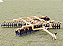 DODH-R 7009T - Imagem 1