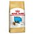 Shih Tzu Puppy 1kg - Imagem 1