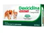 Doxiciclina Vetnil Comp. 25mg - Imagem 1