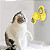 Gira Gira Catnip - Imagem 1