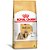 Ração Royal Canin P/cães Adultos Raça Shih Tzu 1kg - Imagem 1