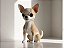 Estatueta Chihuahua Réplica 3cm Plástico Branco - Imagem 1