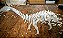 Quebra-Cabeça Diplodocus 3D Dinossauro Educativo Brinquedo - Imagem 8