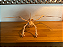Puzzle Dinossauro Pterodáctilo Infantil Educativo Grande - Imagem 4