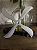 Shuriken Bumerangue Naruto Fuma Brinquedo Colecionável - Imagem 8