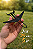 Avião Planador Leve 5g Brinquedo Infantil Diversão Ao Ar - Imagem 5
