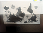 Flexi World Map (flexible world map) - Imagem 13