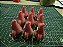 Patrick Star Boneco Estrela do Mar - Imagem 3