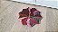 Fidget Toy 10 Estrelas Anti Stress Brinquedo - Imagem 6