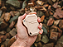 Hiking Container - Robust and Waterproof - Imagem 5