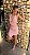 VESTIDO LIANDRA-ELVA - Imagem 2