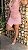 VESTIDO LIANDRA-ELVA - Imagem 3