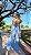 CONJUNTO CECILIA-ELVA - Imagem 2