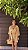 KIMONO FEMININO-PERFECT WAY - Imagem 1