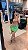 SHORTS SAIA KELLY-ELVA - Imagem 3