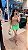 SHORTS SAIA KELLY-ELVA - Imagem 2