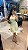 VESTIDO GENEVIVE-ELVA - Imagem 15