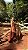 CONJUNTO OCEANIA-ELVA - Imagem 3