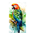 Conjunto de 4 Quadros Decorativos Paisagens Naturais 10x15 - Imagem 5