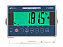 Indicador de Pesagem WT 3.000 "IR" - Imagem 2