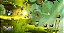 Rayman Legends Definitive Edition Nintendo Switch Mídia Digital - Imagem 2