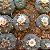 Lophophora williamsii - Imagem 2